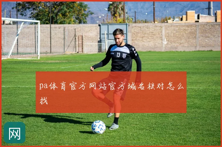 pa体育官方网站官方域名核对怎么找